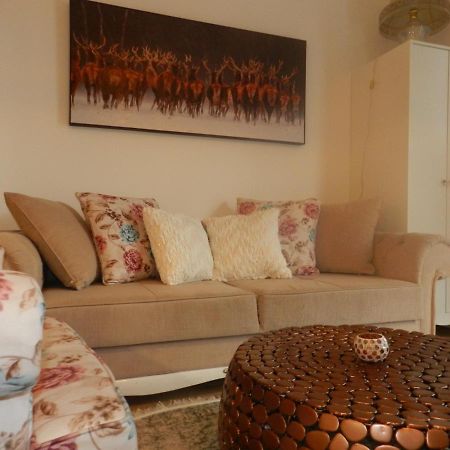 וינה Klassik And Sunny Apartment! מראה חיצוני תמונה