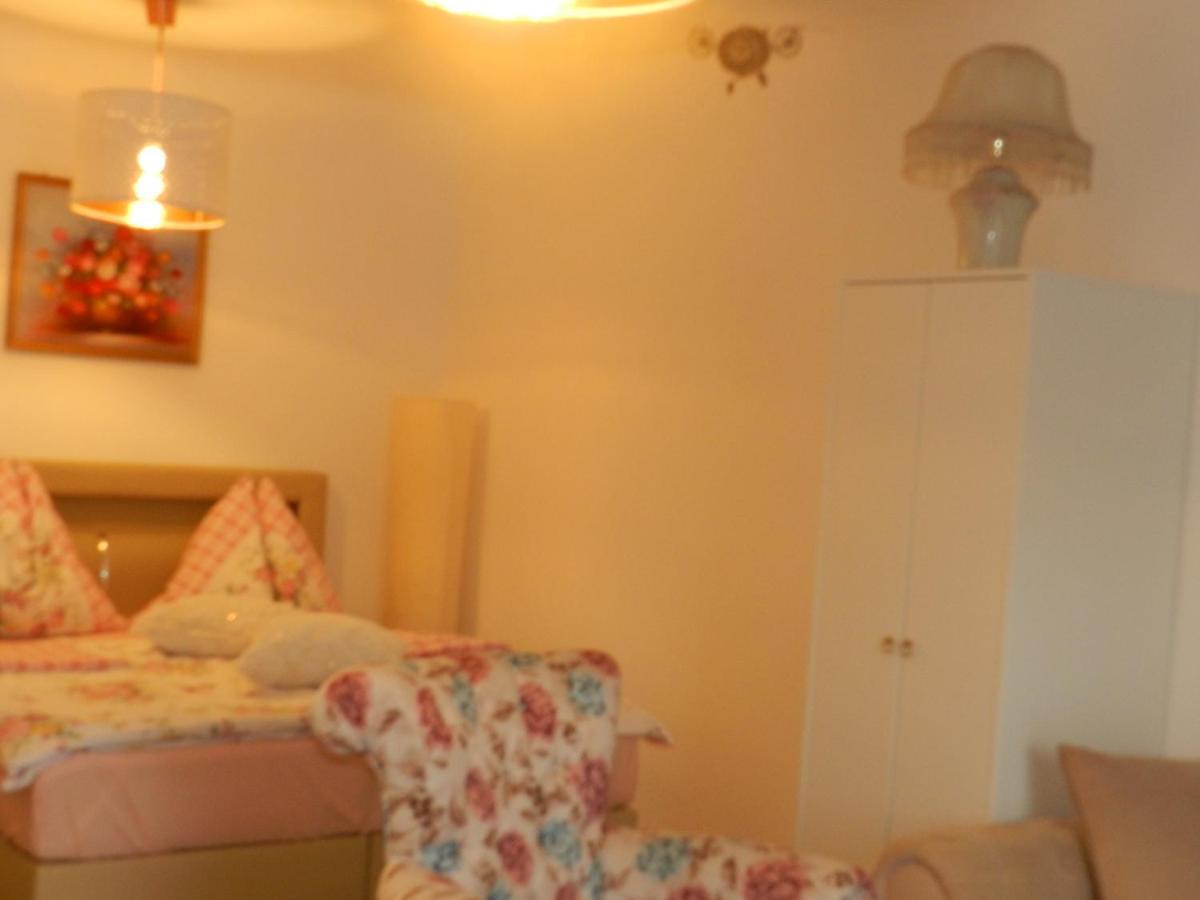 וינה Klassik And Sunny Apartment! מראה חיצוני תמונה
